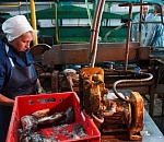 Астраханская область планирует наращивать объемы производства для замещения импорта