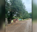 Встреча двух приятелей под Астраханью закончилась жестокой смертью