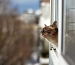 Завтра в Астрахани немного потеплеет