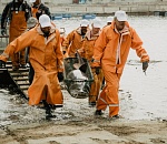 Из Астрахани в Грузию экспортировали более 12 тонн рыбы