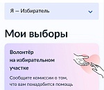 Астраханцы могут принять участие в пилотном проекте «Волонтеры на избирательном участке»
