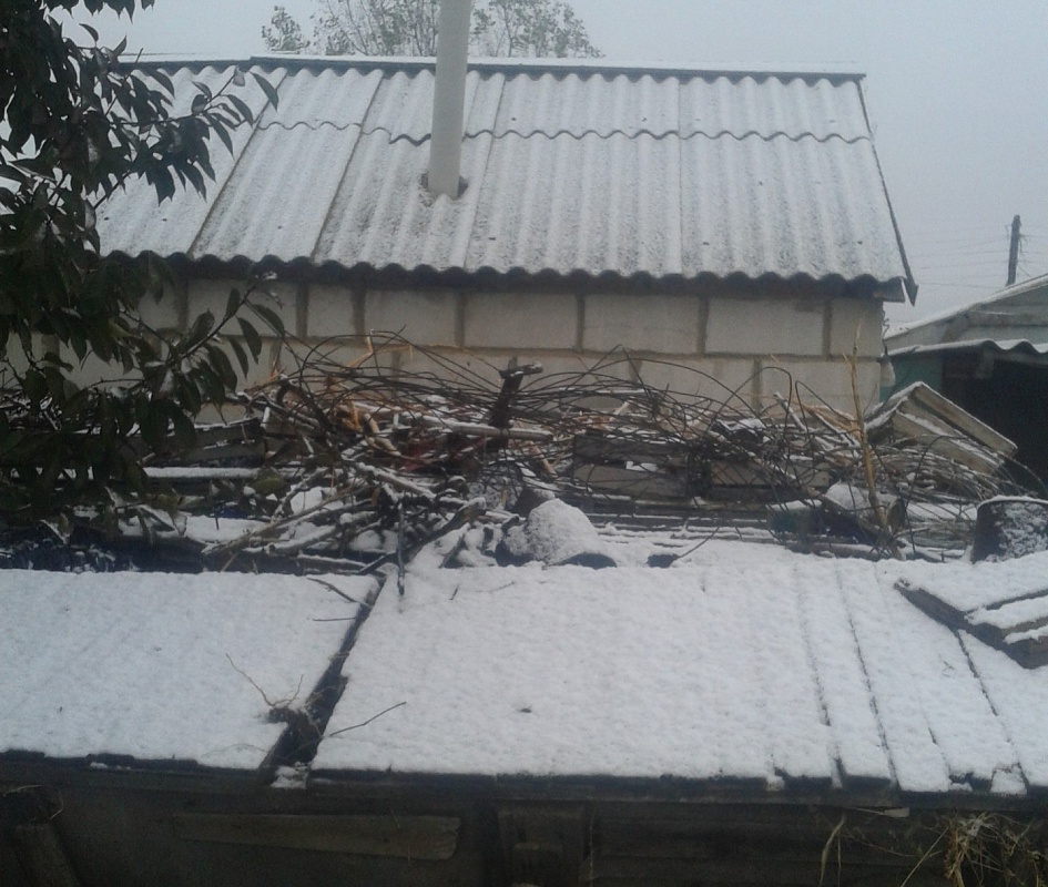 Фото дня: первый пошел!