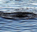 Под Астраханью на праздник нашли в реке тело мужчины 