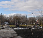 Астраханский сквер не успели благоустроить, а уже обокрали