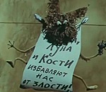 Каждого астраханца собаки кусали в среднем 0,005 раза 