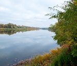 Астраханская вобла идет на поправку