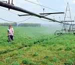 Астраханская область направит 58,6 млн на развитие мелиорации