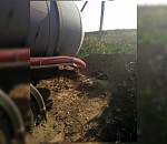 В Астрахани ассенизатор сливал фекалии в импровизированный колодец под ковром