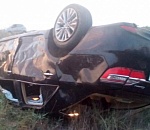 Под Астраханью четыре человека пострадали в ДТП из-за скотины