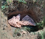 Астраханец убил сожительницу и спрятал её тело в яме под строительным мусором 