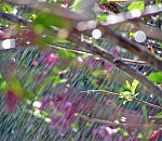 В воскресенье астраханцам обещают небольшой дождь, но не везде