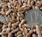 Крупным проектам в АПК по импортозамещению в Астраханской области будет оказана господдержка