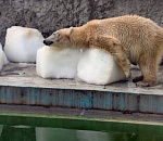 Астраханская жара не сдается: в пятницу будет тяжко