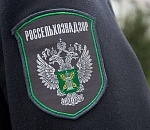 Генпрокуратура наказала 19 сотрудников регионального Россельхознадзора