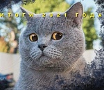 Хроники Года Быка, оказавшегося собачьим. Итоги астраханского политического сезона-2021