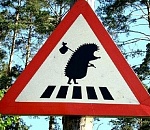 Под Астраханью водителей сбивали с толку противоречащие друг другу знаки