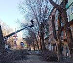 В микрорайоне на правобережье Астрахани провели санитарную обрезку деревьев