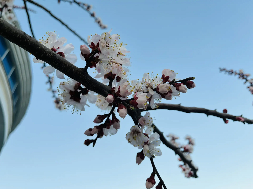Выходные в Астраханской области начнутся с осадков