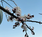 Выходные в Астраханской области начнутся с осадков