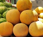 В Астрахань пытались незаконно провезти 3 фуры дынь и картофеля