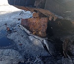 Под Астраханью обнаружили загрязнение реки Бахтемир