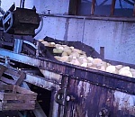 Антисанитария и разруха: на телеканале Пятница покажут всю правду об астраханских консервах