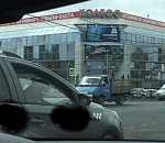 Стало известно, куда ехал леопард на такси в Астрахани