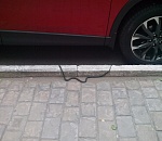 Змея чуть не укусила астраханского депутата Евгения Дунаева