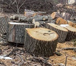 В Астраханской области появился новый вид административной ответственности в сфере благоустройства территории поселений