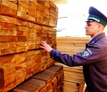 За январь из Астраханской области отправили на экспорт 9500 кубометров лесоматериалов