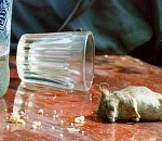 Более 100 литров паленой водки пытались вывезти из Астрахани