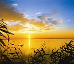 Туристический поток в Астраханскую область увеличился на 18%