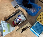 Под Астраханью полиция задержала трех местных парней с 2 кг прегабалина