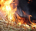 В Астраханской области из-за курильщика уничтожено 170 рулонов сена