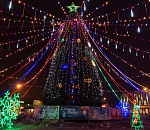 Готовь ёлку заранее. Администрация Астрахани купит 450 зеленых красавиц для украшения города к новому году