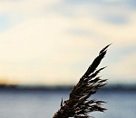 Небольшое потепление в Астрахани омрачит резкий ветер