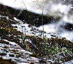 Ночью в Астраханской области ожидаются настоящие заморозки, днем в облцентре – мало греющие +13°