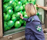 В феврале в Астраханскую область из Узбекистана поступило более 85 тонн капусты