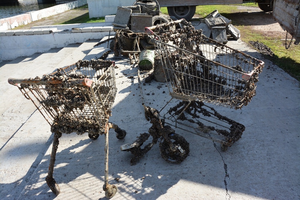 Тележки из магазинов, шины и велосипеды: что тонет в астраханских каналах 