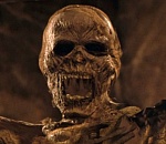 В Астрахани в подвале дома нашли мумию