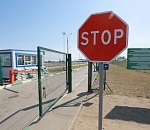 Стадо телят и стая голубей не преодолели астраханскую границу