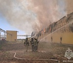 В пожаре на птицефабрике в Астраханской области погибли 166 тысяч кур