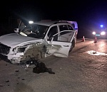 В Астрахани по вине пьяного отца в ДТП пострадал 9-летний мальчик