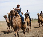 ЛУКОЙЛ стал главным партнером Всероссийской животноводческой выставки