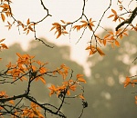 Астраханцев завтра ждут капризы погоды