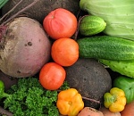 Астраханские фермеры собрали более 200 тысяч тонн овощей