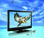 Увеличилось число каналов высокой четкости (HD) в «Интерактивном ТВ» от «Ростелекома»