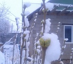 В Астраханской области в ночь на 30 марта внезапно выпал снег