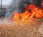 Сезон ландшафтных пожаров в Астраханской области начался 