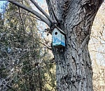 Завтра в Астраханской области ночь станет теплее и даже выйдет на плюс, а день – прохладнее